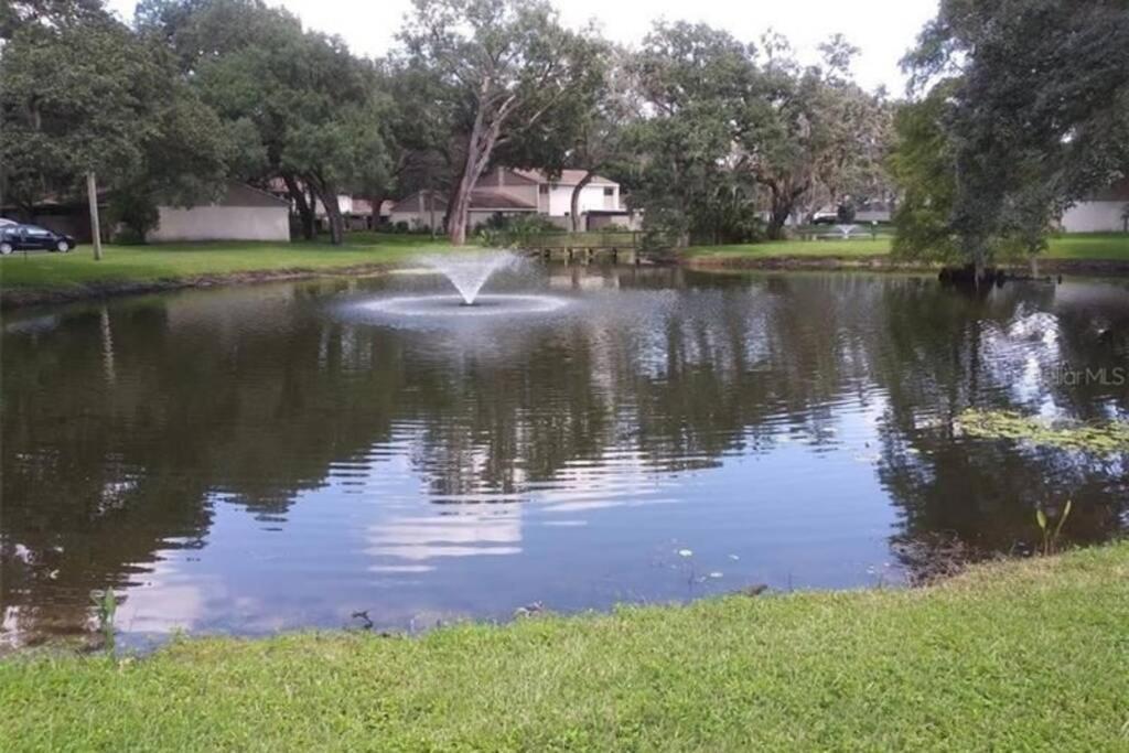 Cozy 3 Bed 2.5 Bath Located Near Busch Gardens Apartman Tampa Kültér fotó