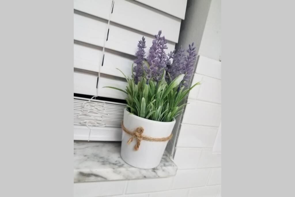 Cozy 3 Bed 2.5 Bath Located Near Busch Gardens Apartman Tampa Kültér fotó
