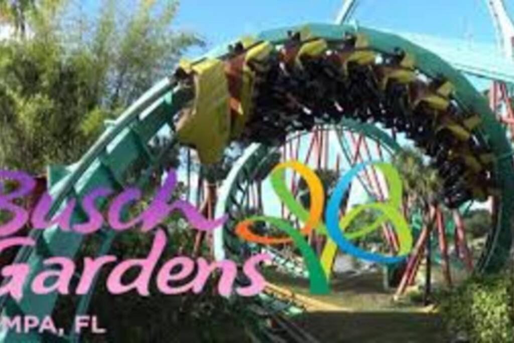 Cozy 3 Bed 2.5 Bath Located Near Busch Gardens Apartman Tampa Kültér fotó
